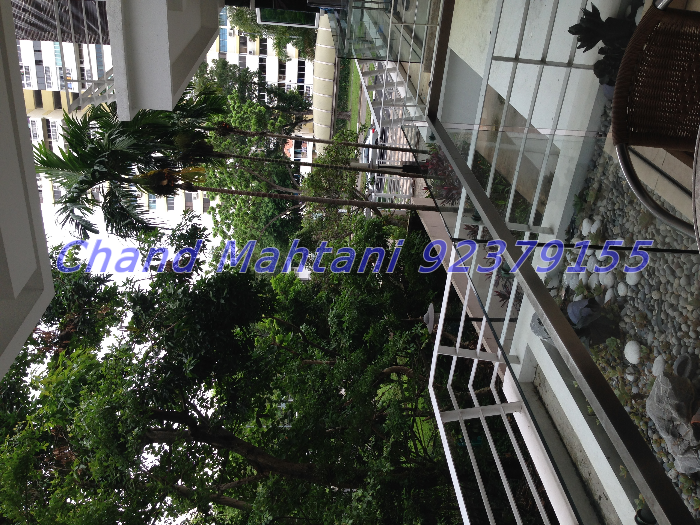 Taipan Grand (D15), Apartment #19312392